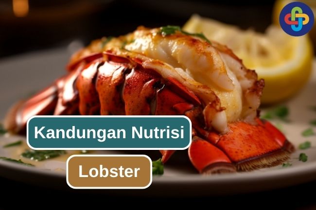 6 Kandungan Nutrisi Penting Pada Lobster